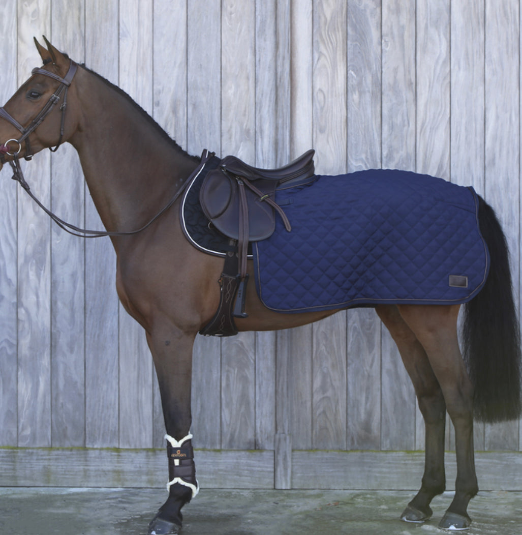 Kentucky quarter rug