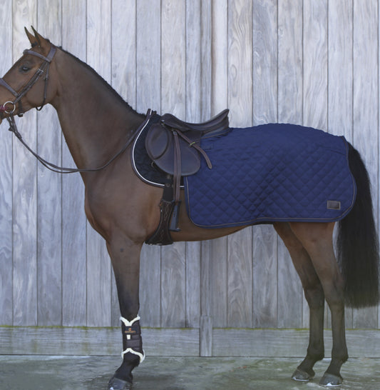 Kentucky quarter rug