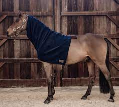 Kentucky heavy fleece scarf