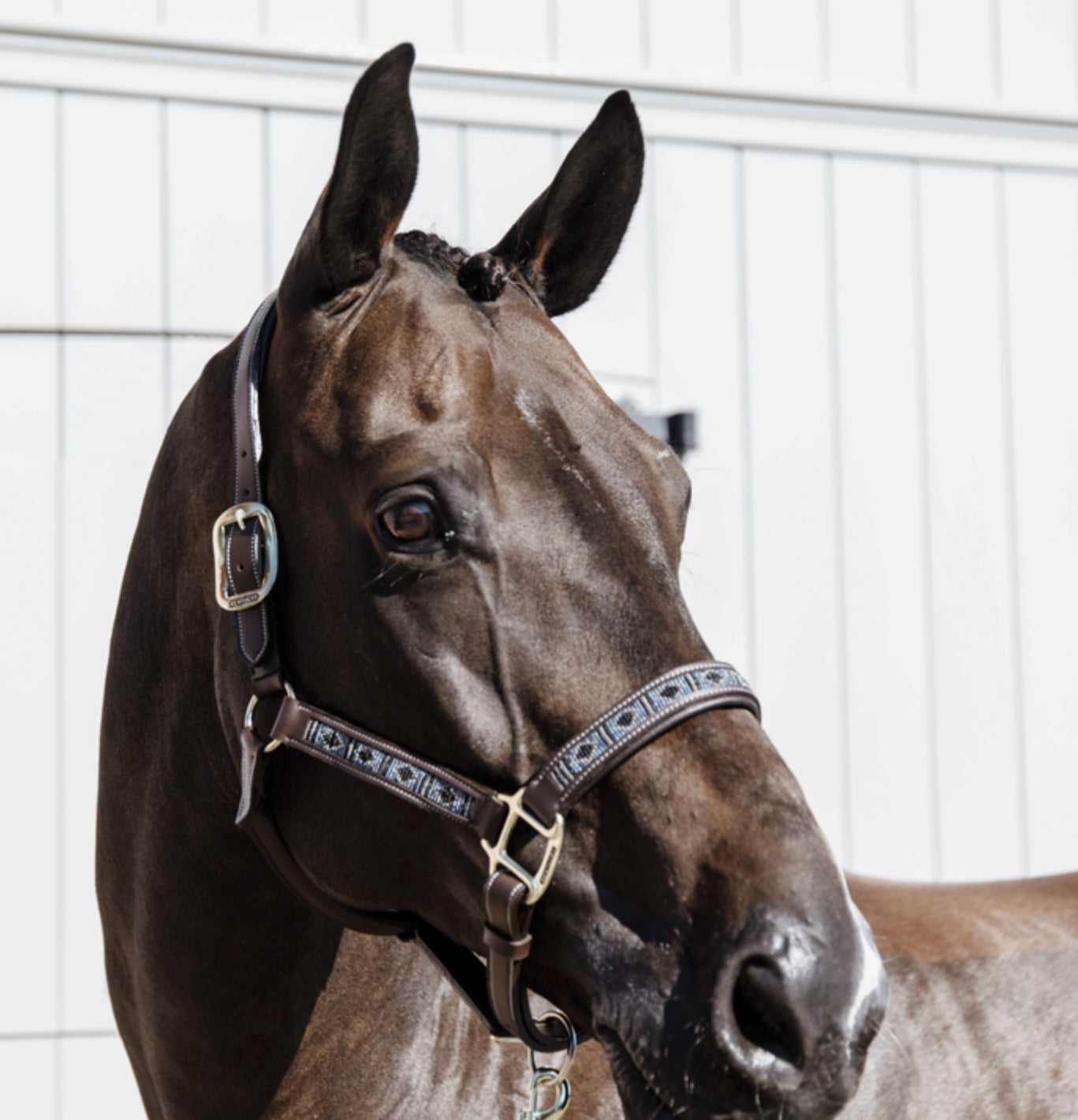Kentucky head collar pearl