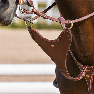 Eq by Equality Line BIB