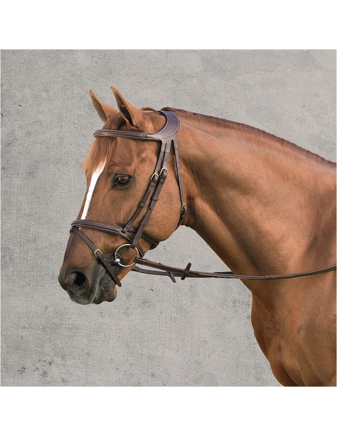 Dyon “difference” therapeutic bridle