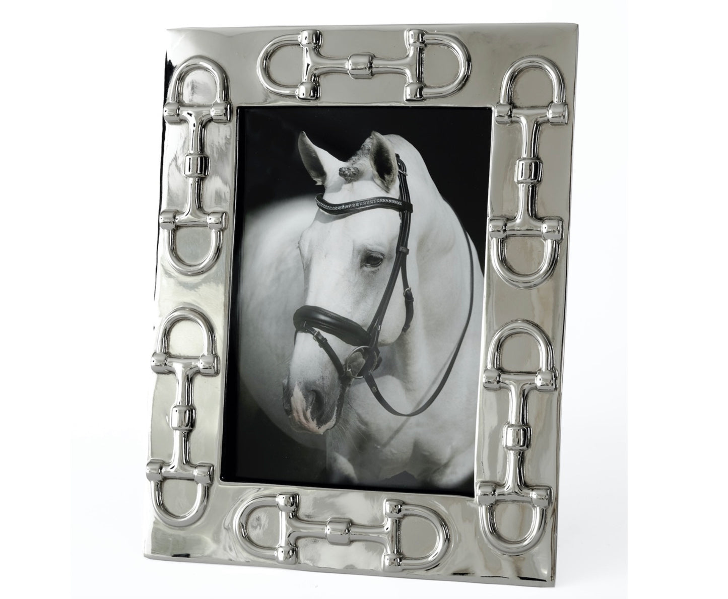 Horse bit frame