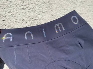 ANIMO Nicis breeches with Swarovski
