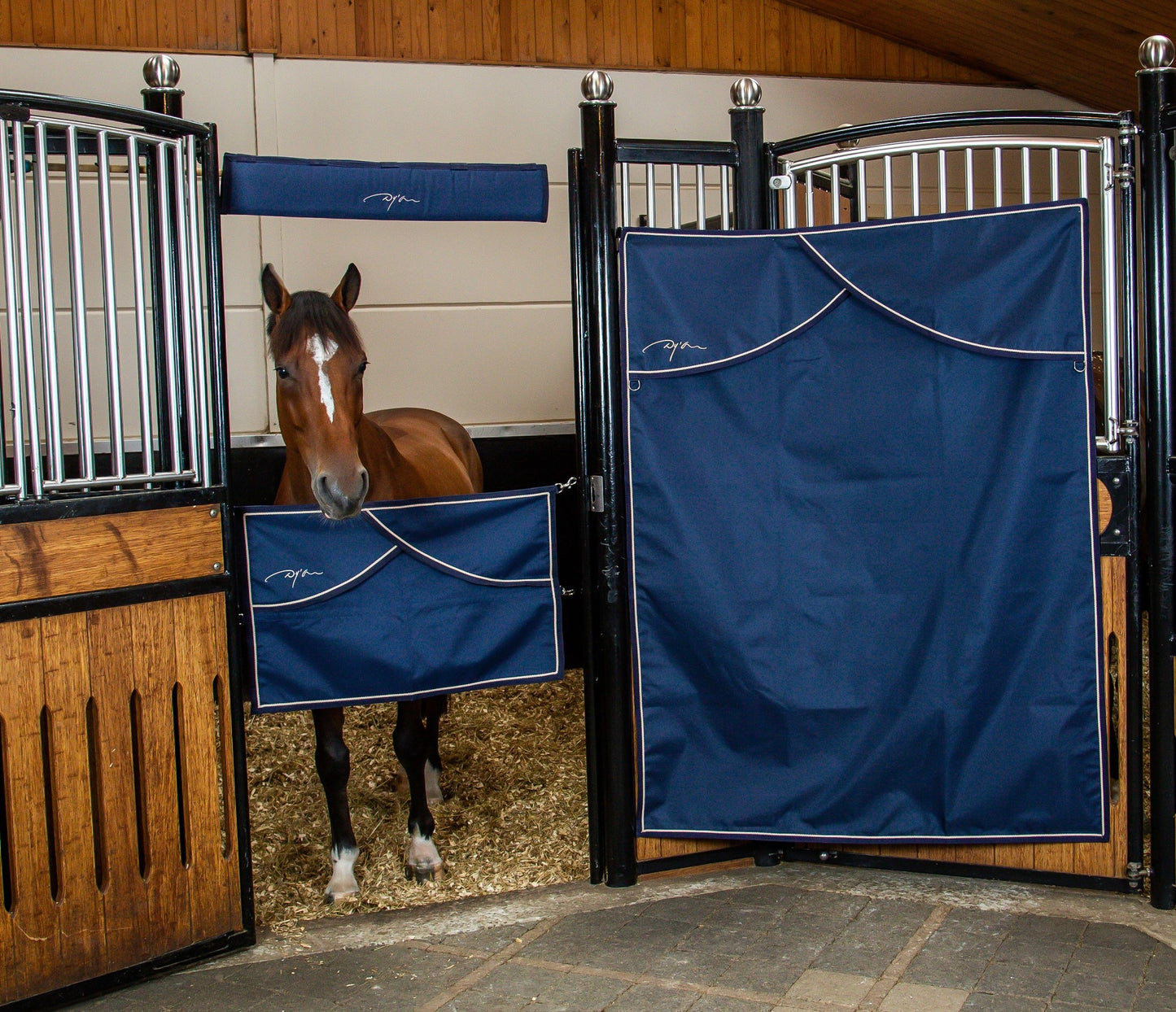 Dyon stable curtain